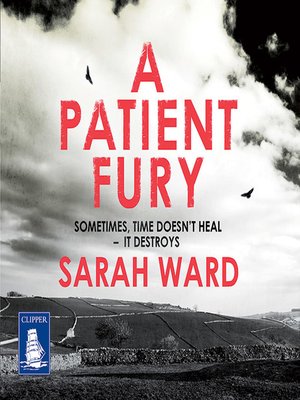 cover image of A Patient Fury
